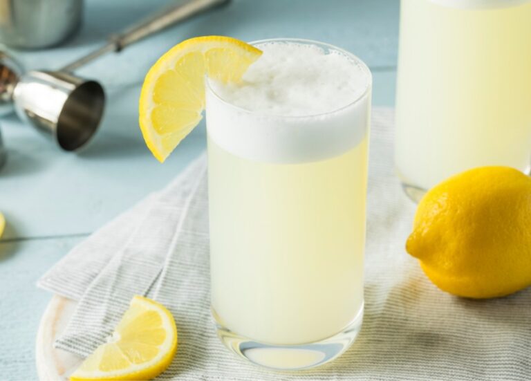 Gin Fizz opskrift Perfekt afbalanceret cocktail Drinksguide